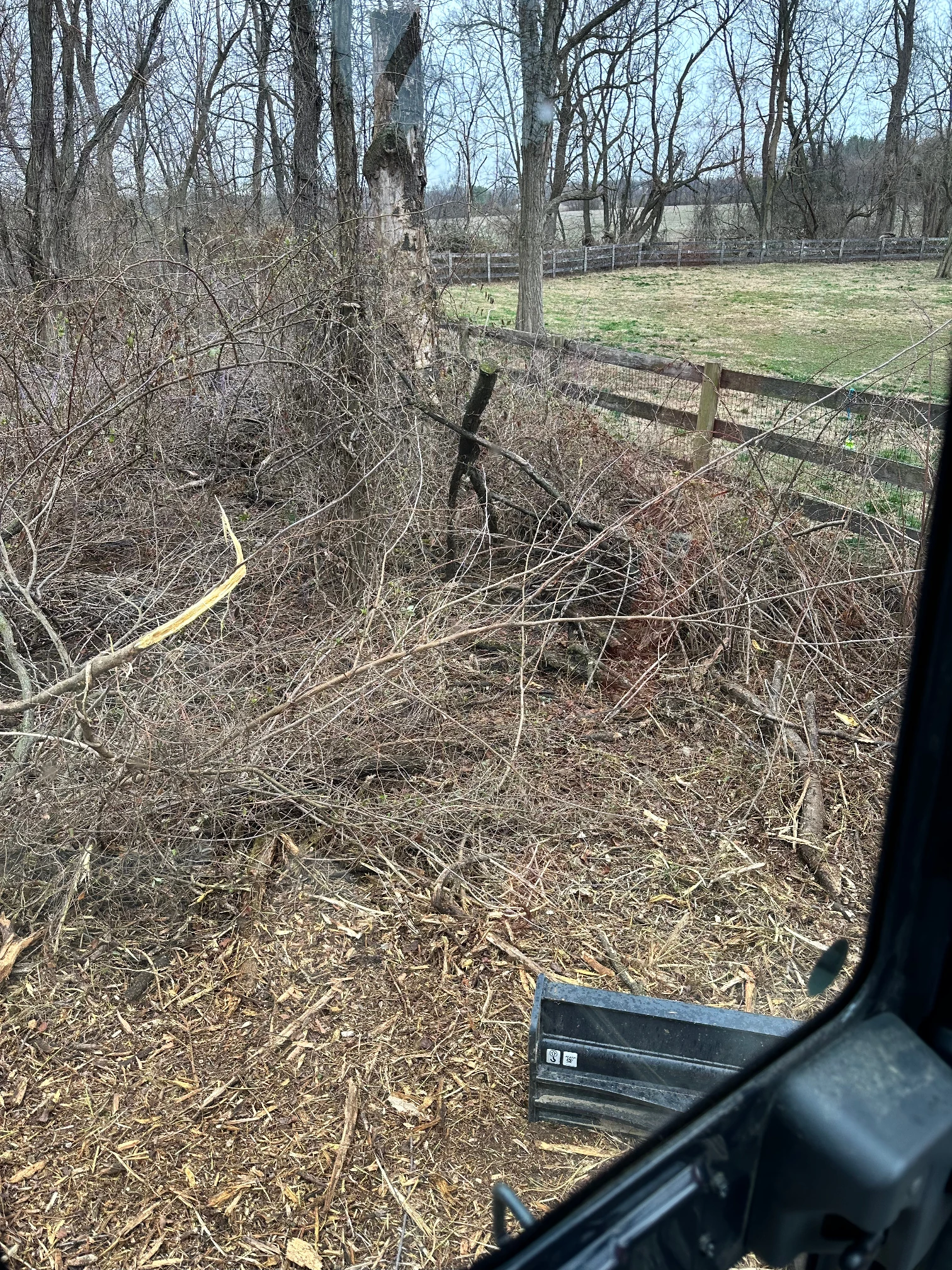 Fence line before