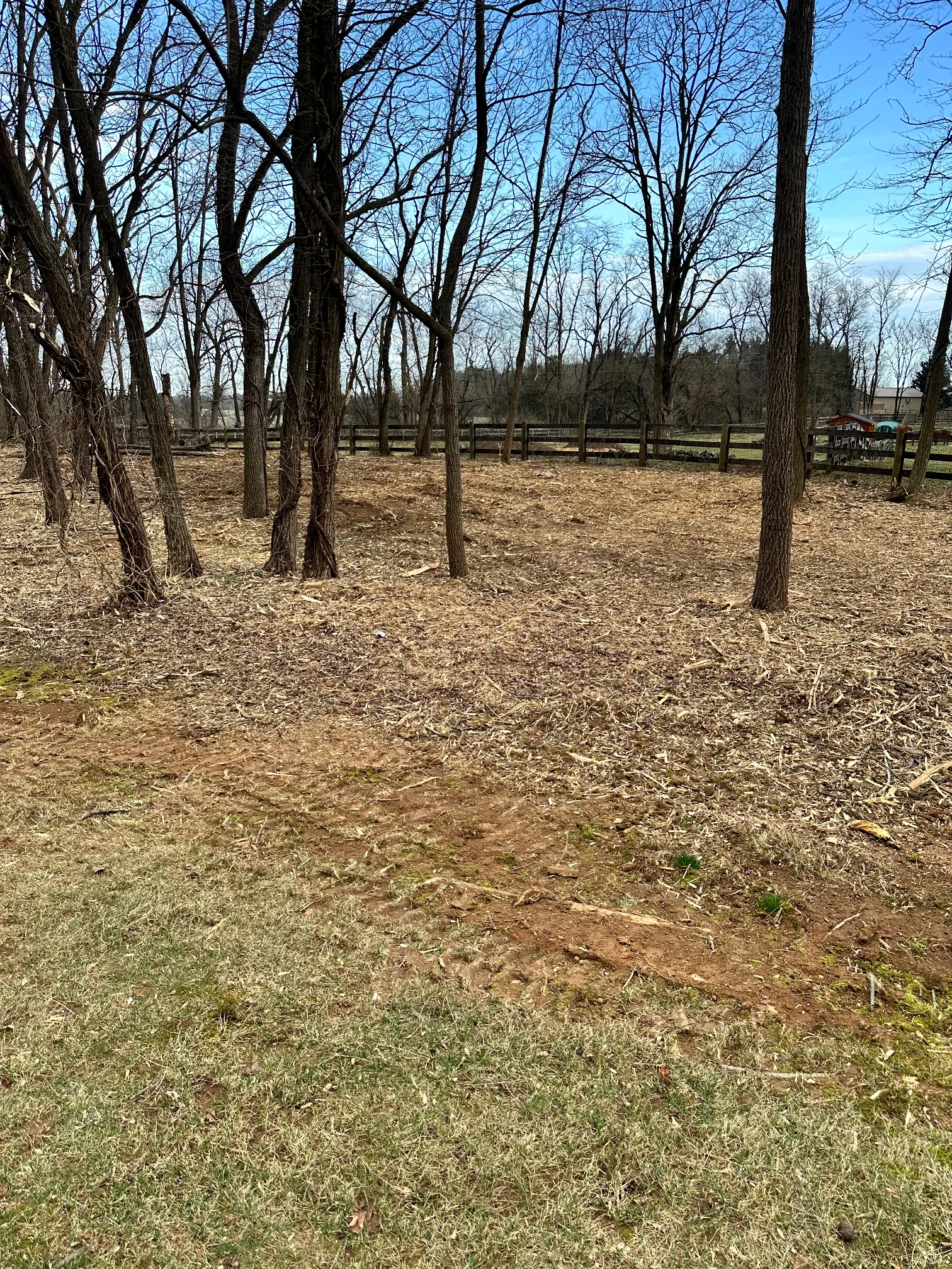Fence line after