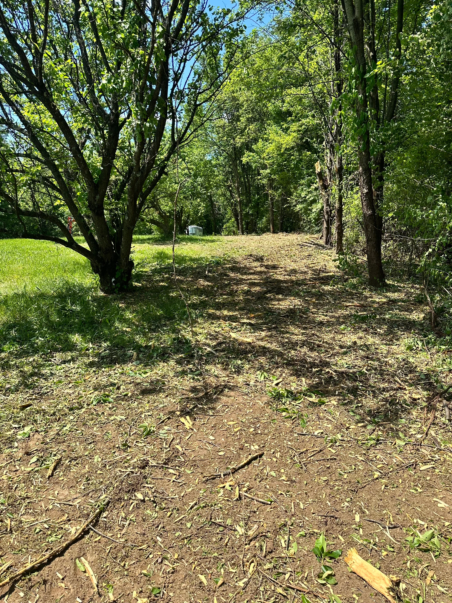 Lot clearing after